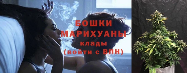 бошки Белокуриха