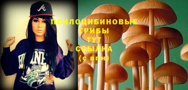 альфа пвп Богородск