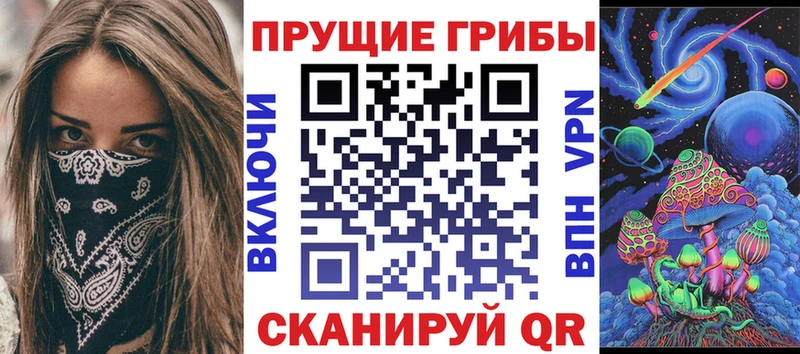 omg сайт Монино Псилоцибиновые грибы Cubensis